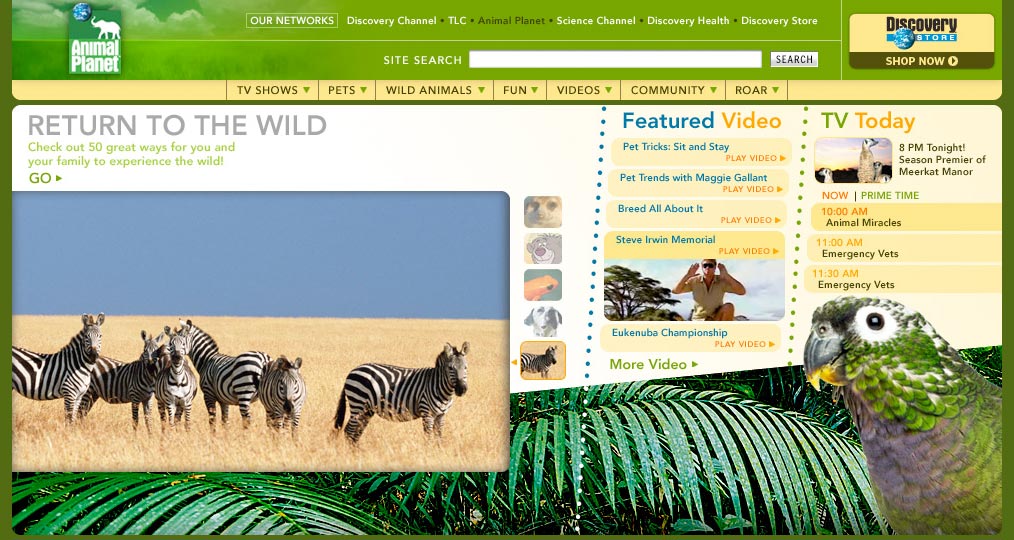 Animal Planet - Homepage Exploration